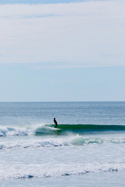 9'4" Waterlog GreenRail