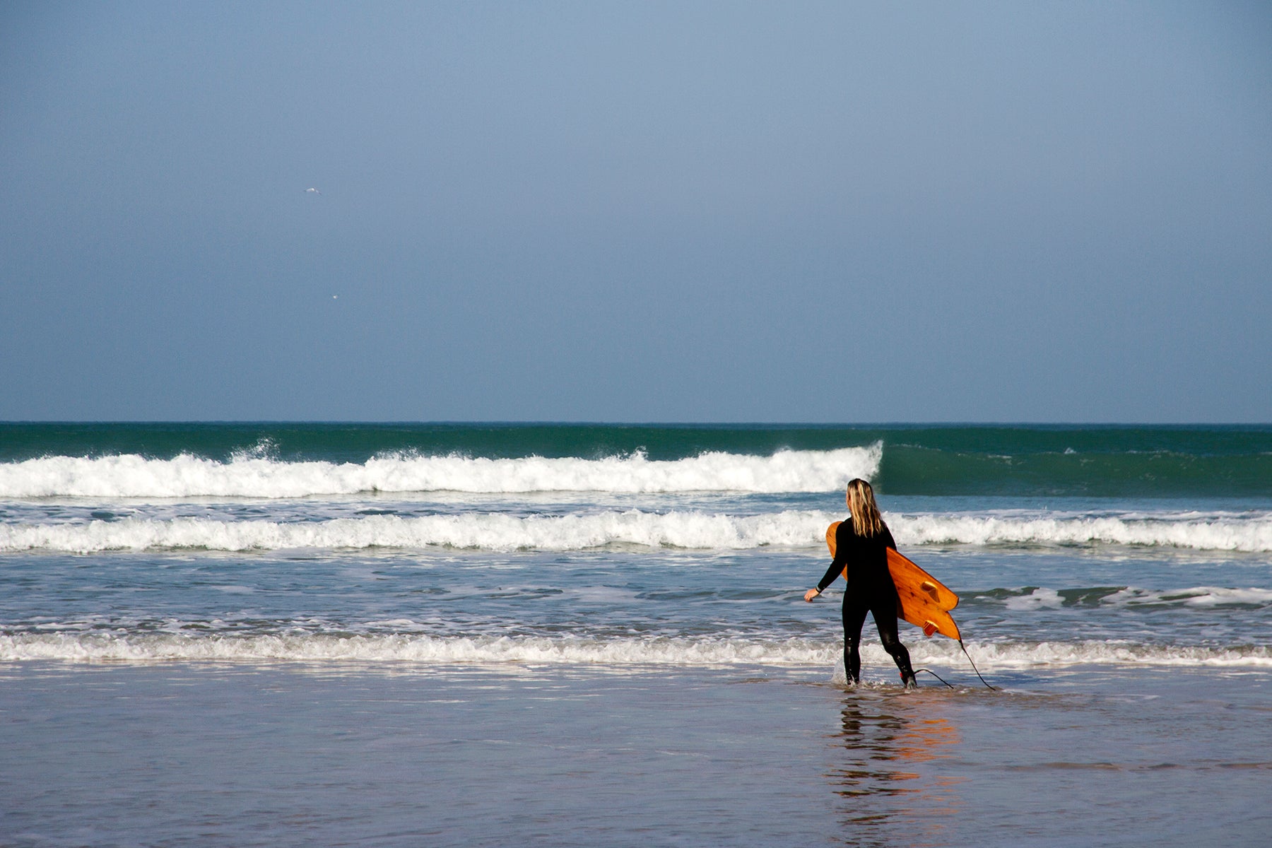 晴れ渡る青空と穏やかな波、その海へ向かう女性サーファーと中空構造（ホロー）の木製サーフボード（天然木）。鮮やかなブルーの水平線と白波のレイヤーの中で、ボードの温かなオレンジ色が美しく際立つ、洗練されたエコラグジュアリーなエントリーシーン。