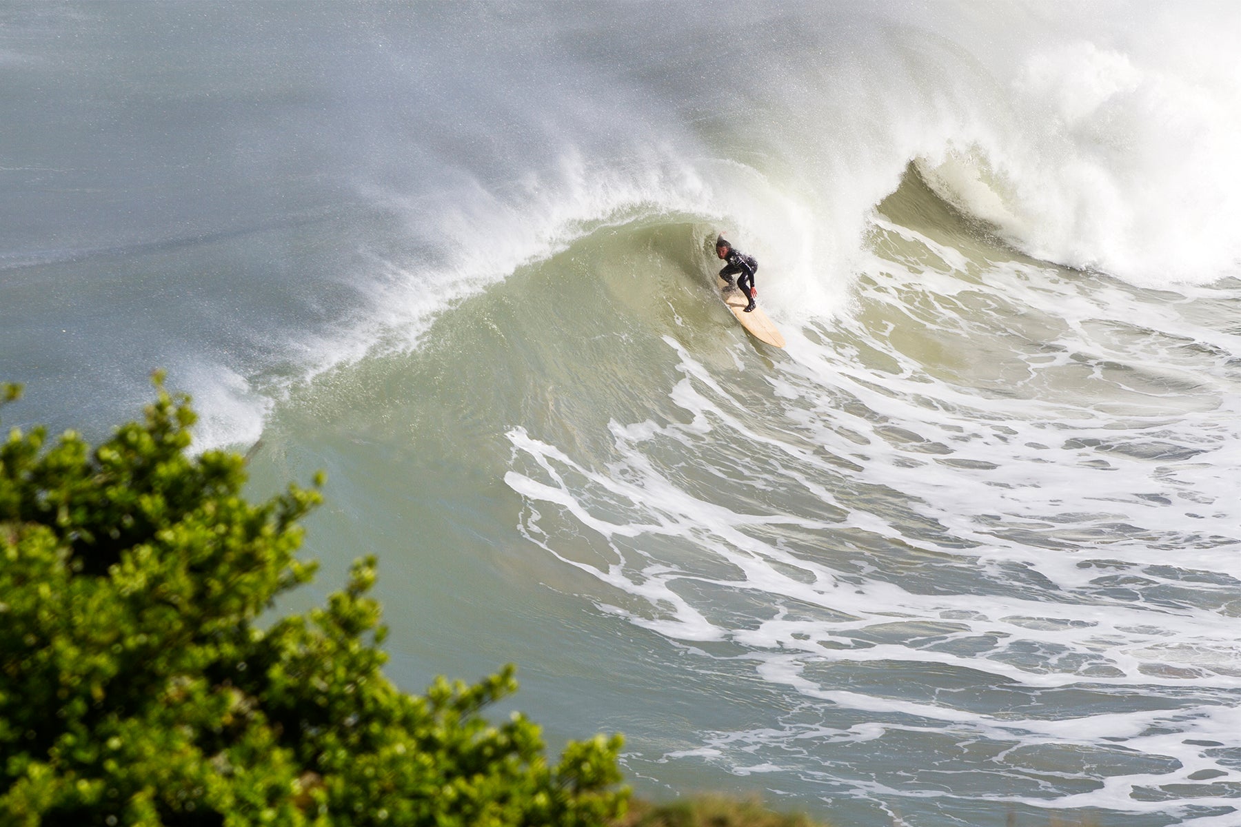 セットの波を捉え、中空構造（ホロー）の木製サーフボード（天然木）で急斜面を滑り降りる瞬間。クリフサイドから見下ろす臨場感あふれるライン取り、アドレナリンが湧き出る至高のライディング。