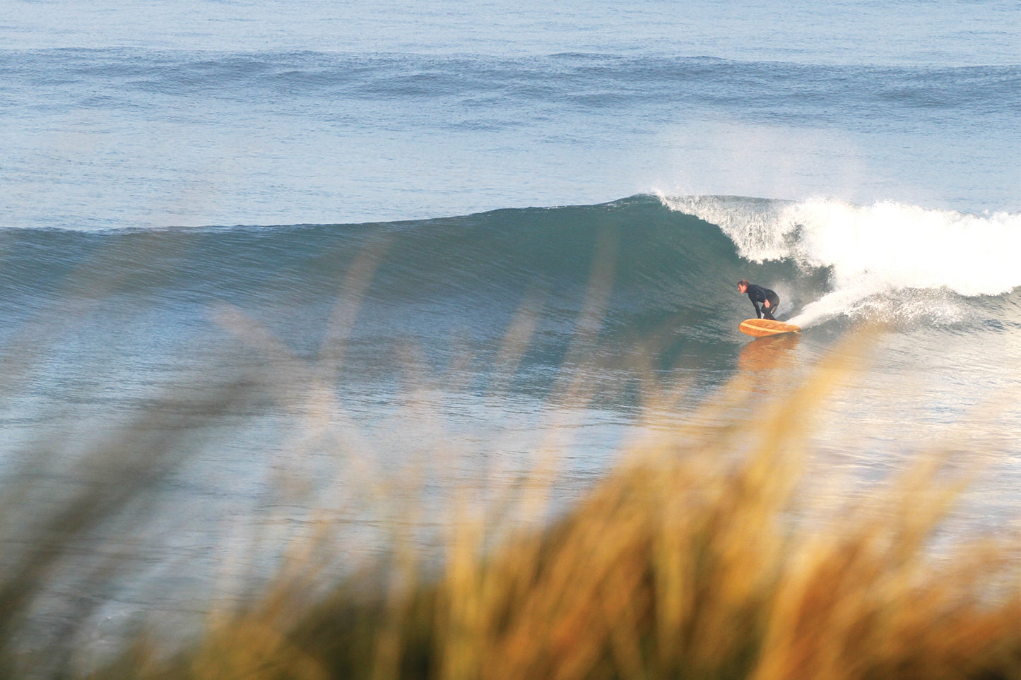 中空構造（ホロー）の木製サーフボード（天然木）と、前景のボケた草が作る奥行き。自然の風景に溶け込む軽量なウッド素材、飾れる・乗れるサステナブルな機能美。