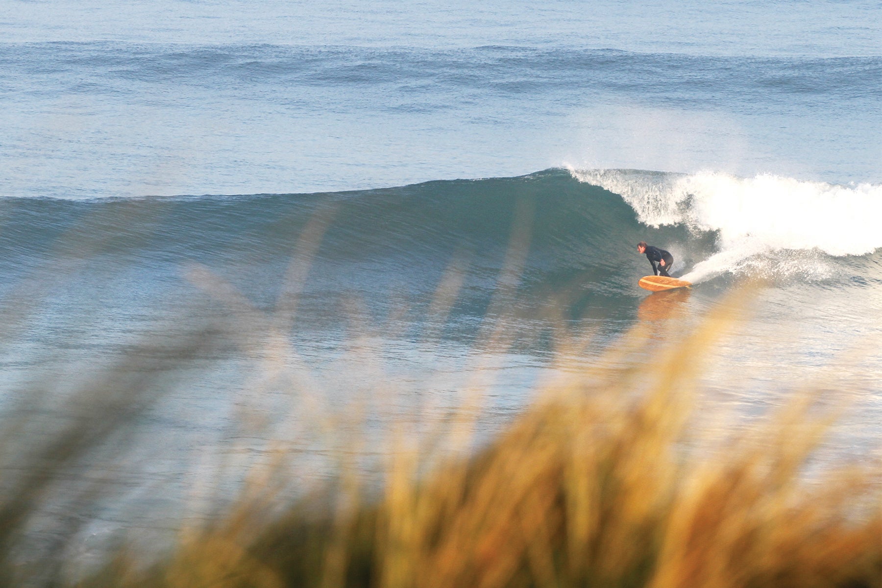 中空構造（ホロー）の木製サーフボード（天然木）と、前景のボケた草が作る奥行き。自然の風景に溶け込む軽量なウッド素材、飾れる・乗れるサステナブルな機能美。