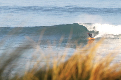 中空構造（ホロー）の木製サーフボード（天然木）と、前景のボケた草が作る奥行き。自然の風景に溶け込む軽量なウッド素材、飾れる・乗れるサステナブルな機能美。