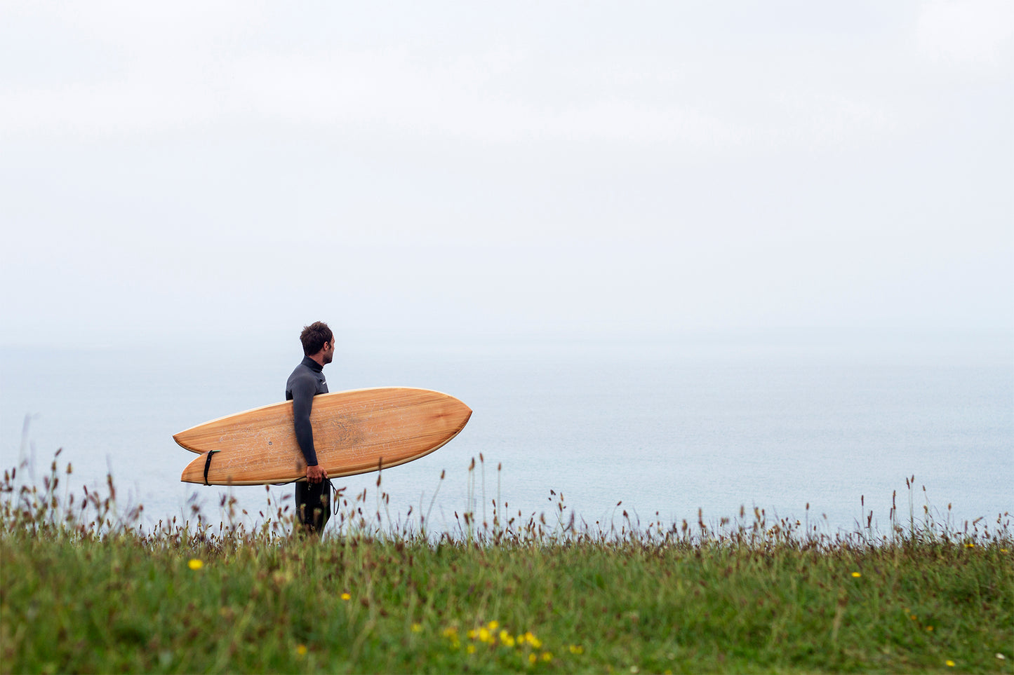 風に揺れる草花と、マットな質感の海、そして艶やかな中空構造（ホロー）の木製サーフボード（天然木）の対比。彩度を抑えた風景の中で、ウッドのナチュラルな色味が温かみを放つ、飾れる・乗れるサステナブルな機能美。
